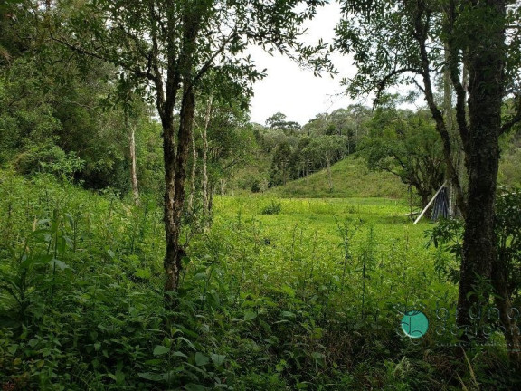 Imagem Imóvel com 3 Quartos à Venda, 350.000 m² em Zona Rural - Bom Retiro