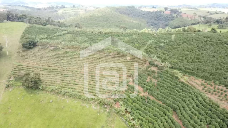Imagem Imóvel com 4 Quartos à Venda, 120 m² em Santana De Caldas - Caldas