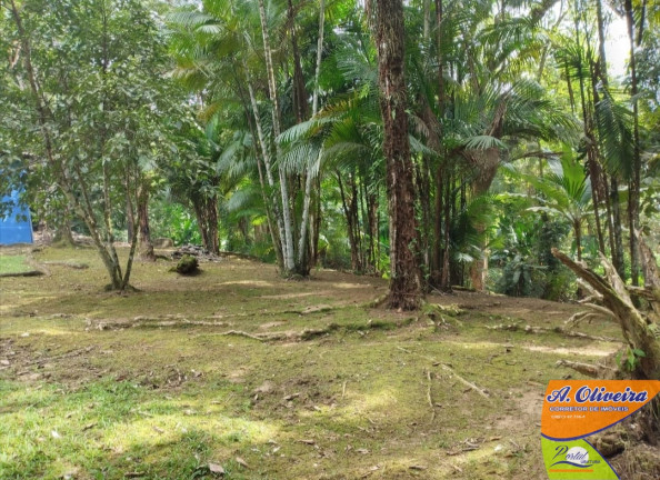 Imagem Chácara com 4 Quartos à Venda, 22.000.000 m² em Horto - Ubatuba Imagem Chácara com 4 Quartos à Venda, 22.000.000 m² em Horto - Ubatuba