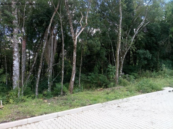 Terreno à Venda, 370 m² em Linha Imperial - Nova Petrópolis
