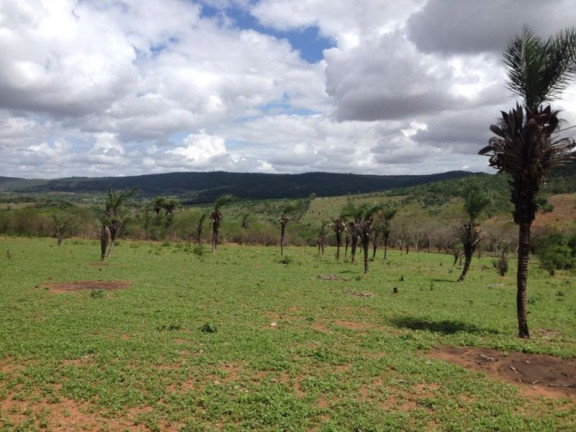 Imagem Fazenda à Venda, 200 m² em Br 116 - Euclides Da Cunha Imagem Fazenda à Venda, 200 m² em Br 116 - Euclides Da Cunha