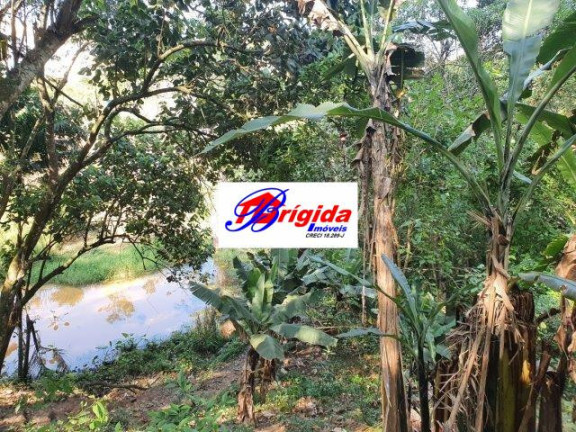 Imagem Terreno à Venda, 5 m² em Jardim Colibri - Cotia Imagem Terreno à Venda, 5 m² em Jardim Colibri - Cotia