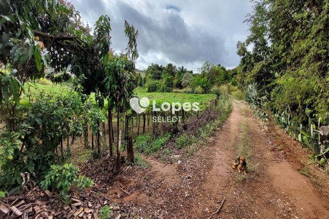 Imagem Imóvel com 1 Quarto à Venda, 43.000 m² em Parque Eldorado - Campinas