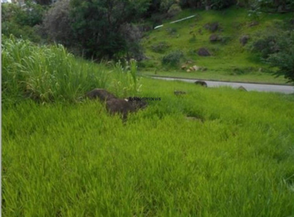 Imagem Terreno à Venda, 2.644 m² em Pinheiro - Valinhos Imagem Terreno à Venda, 2.644 m² em Pinheiro - Valinhos