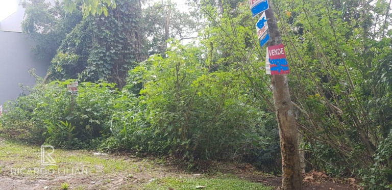 Imagem Terreno à Venda, 2.000 m² em Centro - Mairiporã Imagem Terreno à Venda, 2.000 m² em Centro - Mairiporã