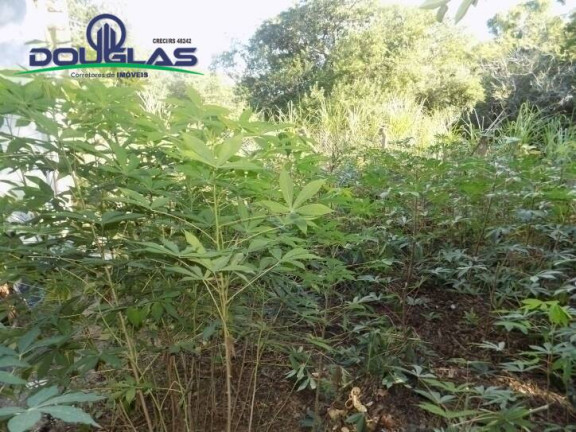 Imagem Casa com 1 Quarto à Venda, 530 m² em Viamão