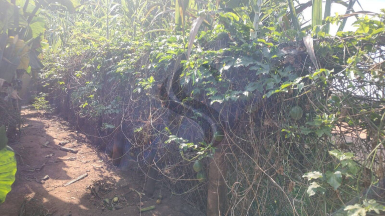 Imagem Chácara com 3 Quartos à Venda, 2.200 m² em Jundiaguara - Araçoiaba Da Serra Imagem Chácara com 3 Quartos à Venda, 2.200 m² em Jundiaguara - Araçoiaba Da Serra