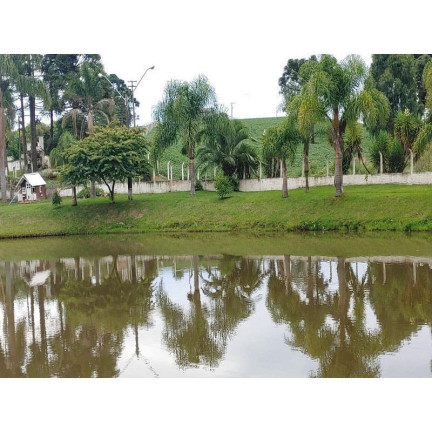Imagem Imóvel com 4 Quartos à Venda, 133.100 m² em Contenda - Contenda