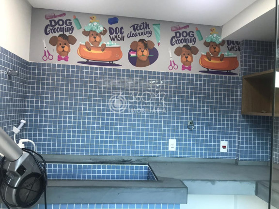 Imagem Apartamento com 2 Quartos à Venda, 64 m² em Campestre - Santo André Imagem Apartamento com 2 Quartos à Venda, 64 m² em Campestre - Santo André