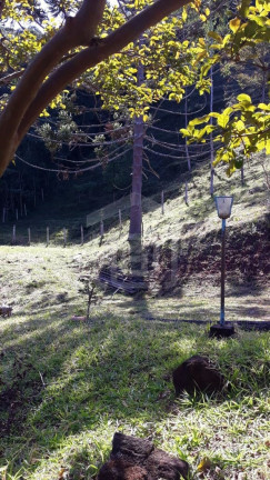 Imagem Imóvel com 3 Quartos à Venda, 2.000 m² em Bairro Amendoim (rural) - Caldas