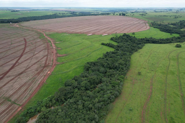 Imagem Fazenda à Venda, 70 m² em Zona Rural - Prata Imagem Fazenda à Venda, 70 m² em Zona Rural - Prata