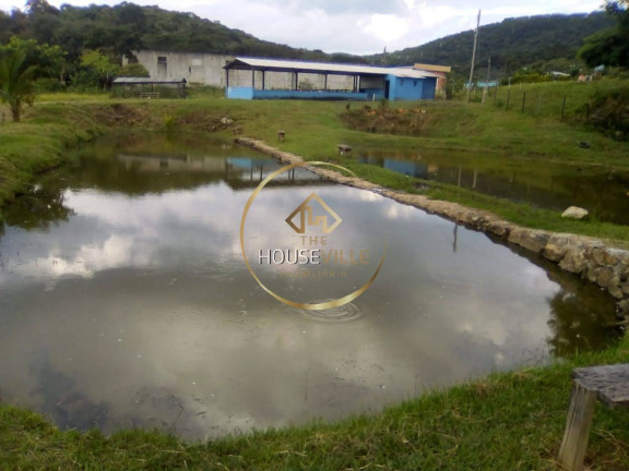 Imagem Chácara com 3 Quartos à Venda, 13.000 m² em Putim - São José Dos Campos