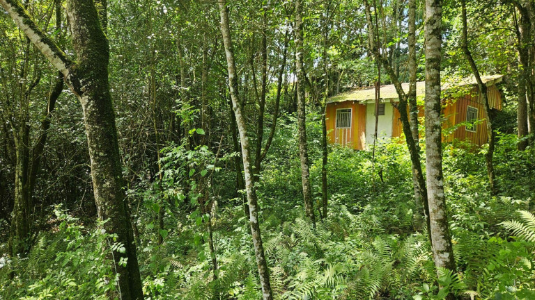 Imagem Terreno à Venda, em São Miguel - Almirante Tamandare Imagem Terreno à Venda, em São Miguel - Almirante Tamandare
