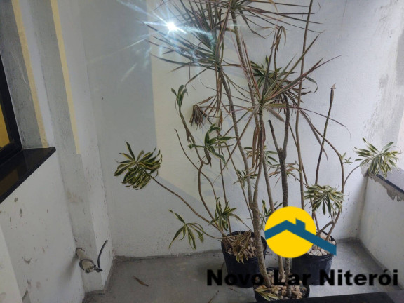 Imagem Apartamento com 1 Quarto à Venda, 22 m² em Ingá - Niterói Imagem Apartamento com 1 Quarto à Venda, 22 m² em Ingá - Niterói