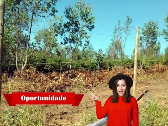 Terreno à Venda, 2.000 m² em Mato Dentro - Mairiporã