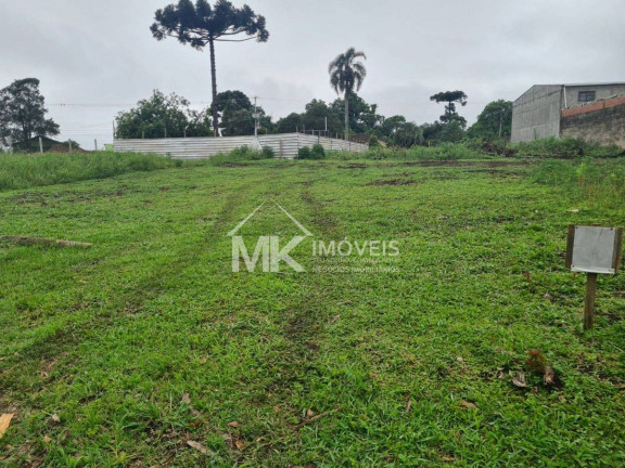 Imagem Terreno à Venda, em Vila Juliana - Piraquara Imagem Terreno à Venda, em Vila Juliana - Piraquara