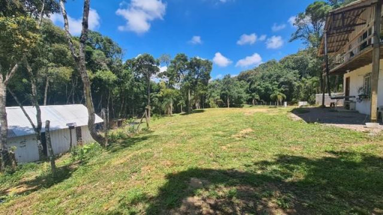 Imagem Imóvel com 3 Quartos à Venda, 32.600 m² em Colônia Retiro - Mandirituba