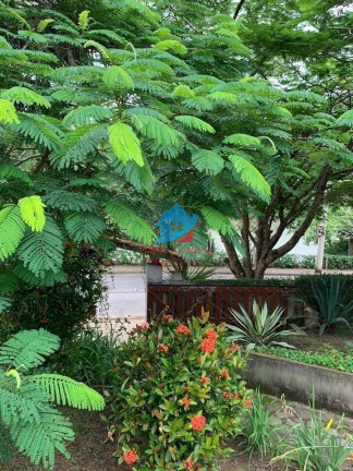Imagem Casa com 3 Quartos para Alugar, 1 m² em Caixa D água - Vinhedo
