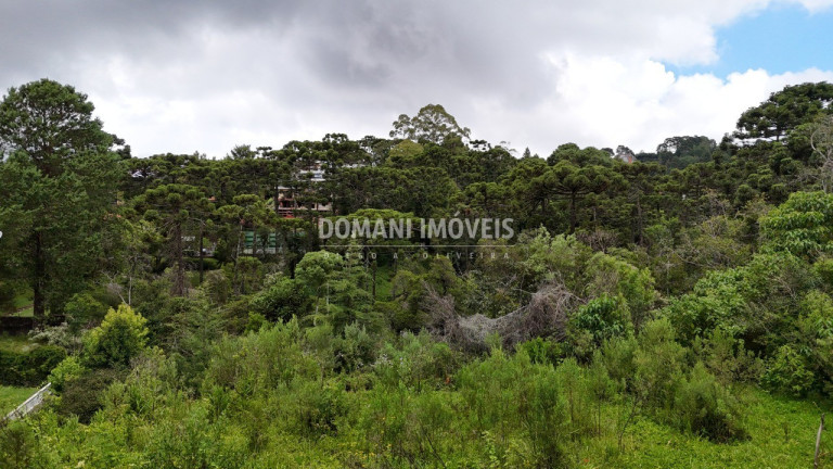 Imagem Terreno à Venda, 1.590 m² em Região De Capivari - Campos Do Jordão