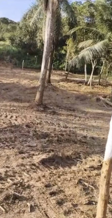 Terreno em Condomínio à Venda, 700 m² em Aldeia Dos Camarás - Camaragibe
