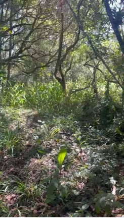 Imagem Terreno à Venda, 2 m² em Governador Celso Ramos Imagem Terreno à Venda, 2 m² em Governador Celso Ramos