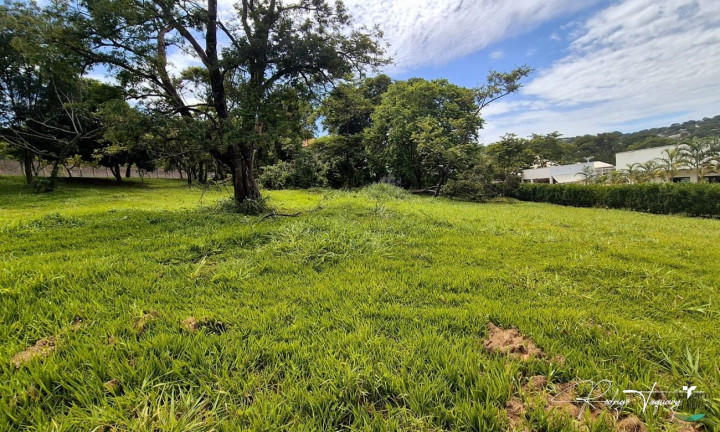 Imagem Terreno à Venda, 2.493 m² em Residencial Aldeia Do Vale - Goiânia