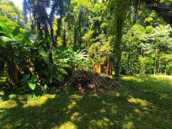 Imagem Chácara à Venda, 6.000 m² em Loteamento Chácara Chantecler - Piraquara Imagem Chácara à Venda, 6.000 m² em Loteamento Chácara Chantecler - Piraquara