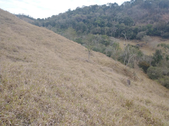 Imagem Chácara à Venda, 20.000 m² em Rio Pardo - Caldas Imagem Chácara à Venda, 20.000 m² em Rio Pardo - Caldas