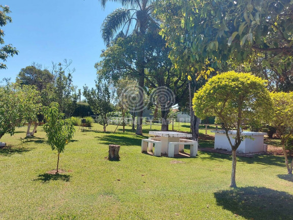 Imagem Chácara com 5 Quartos à Venda, 25.000 m² em Guarapó - Tatuí