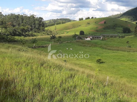 Imagem Fazenda à Venda, 400 m² em Jardim Prado - Santa Branca