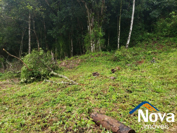 Imagem Imóvel à Venda, 367 m² em São Luiz - Caxias Do Sul Imagem Imóvel à Venda, 367 m² em São Luiz - Caxias Do Sul
