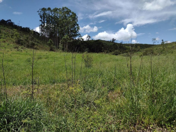 Imagem Fazenda à Venda, 100 m² em Zona Rural - Guaratinguetá Imagem Fazenda à Venda, 100 m² em Zona Rural - Guaratinguetá