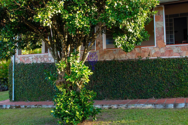 Imagem Imóvel com 3 Quartos à Venda, 1.500 m² em Posses - Serra Negra