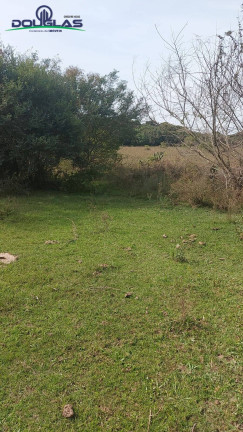 Imagem Chácara à Venda, 20.000 m² em Viamão Imagem Chácara à Venda, 20.000 m² em Viamão