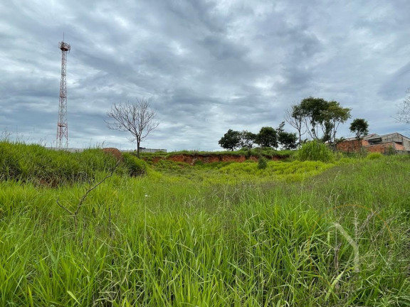 Imagem Terreno à Venda, 3.600 m² em Jardim Cerejeiras - Arujá Imagem Terreno à Venda, 3.600 m² em Jardim Cerejeiras - Arujá