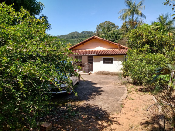 Imagem Imóvel com 2 Quartos à Venda, 2.100 m² em Bairro Roseira (rural) - Campestre