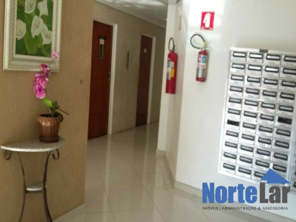 Imagem Apartamento com 2 Quartos à Venda, 55 m² em Parque São Luís - São Paulo