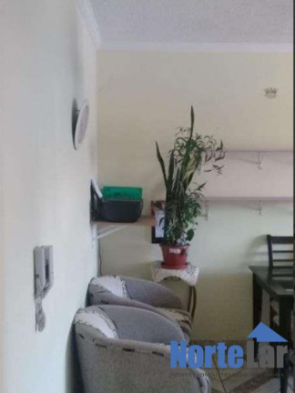 Imagem Apartamento com 2 Quartos à Venda, 52 m² em Vila Clarice - São Paulo