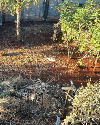 Imagem Terreno à Venda, 545 m² em Zona 08 - Maringá Imagem Terreno à Venda, 545 m² em Zona 08 - Maringá