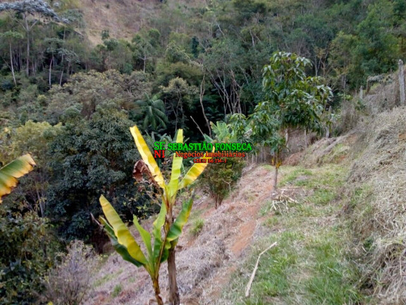 Imagem Chácara à Venda, 2.000 m² em Sob. Consulta - São José Dos Campos Imagem Chácara à Venda, 2.000 m² em Sob. Consulta - São José Dos Campos