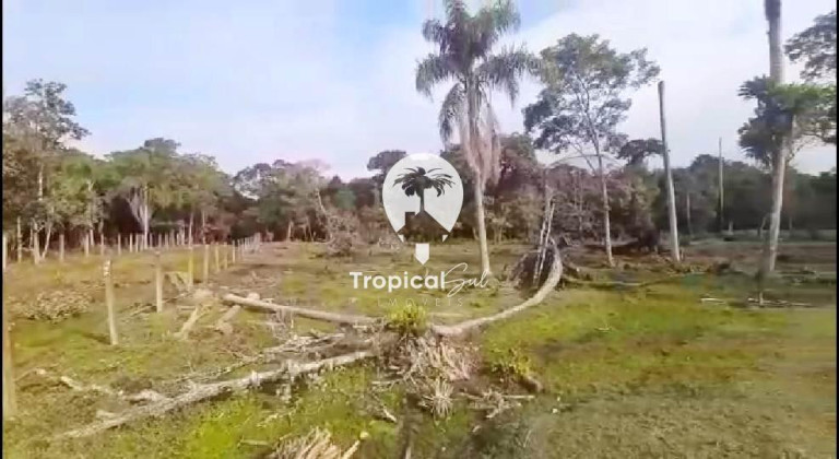 Imagem Fazenda à Venda, 3.924 m² em Pontal Do Sul - Pontal Do Parana Imagem Fazenda à Venda, 3.924 m² em Pontal Do Sul - Pontal Do Parana