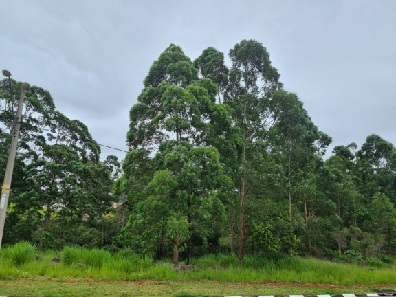 Imagem Terreno à Venda, 779 m² em Jardim Do Golf I - Jandira Imagem Terreno à Venda, 779 m² em Jardim Do Golf I - Jandira