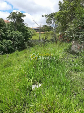 Imagem Terreno à Venda, 3.360 m² em Vila São Francisco - Suzano Imagem Terreno à Venda, 3.360 m² em Vila São Francisco - Suzano