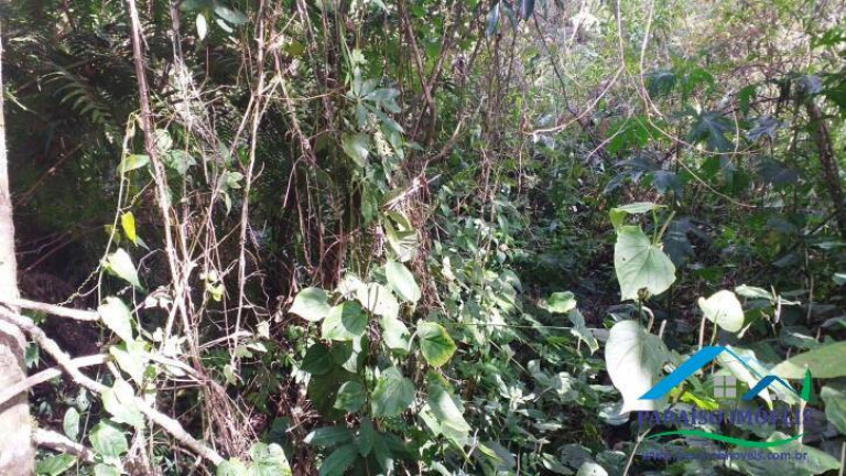 Imagem Terreno à Venda, 113.740 m² em Centro - Gonçalves Imagem Terreno à Venda, 113.740 m² em Centro - Gonçalves
