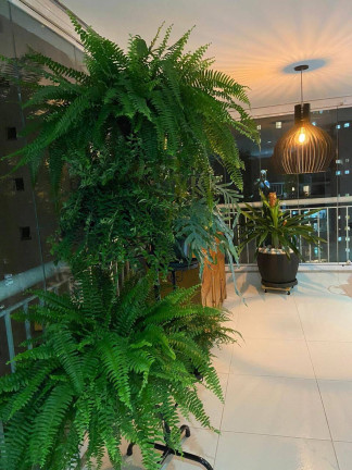 Imagem Apartamento com 3 Quartos à Venda, 260 m² em Vila Andrade - São Paulo Imagem Apartamento com 3 Quartos à Venda, 260 m² em Vila Andrade - São Paulo