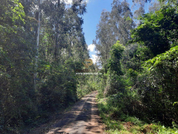 Terreno à Venda, 350.000 m² em Interior - Concórdia