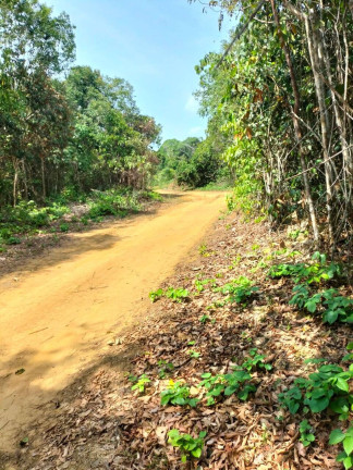 Terreno à Venda, 5.200 m² em Lago Do Limão - Iranduba