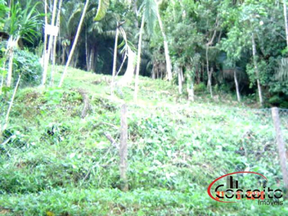 Imagem Terreno à Venda, 1.080 m² em Enseada - Ubatuba Imagem Terreno à Venda, 1.080 m² em Enseada - Ubatuba