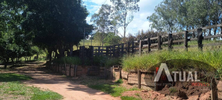 Imagem Chácara com 4 Quartos à Venda, 470 m² em Piracaia - Piracaia Imagem Chácara com 4 Quartos à Venda, 470 m² em Piracaia - Piracaia