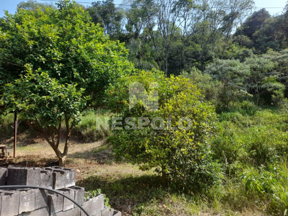 Imagem Fazenda à Venda, 130 m² em Interior - Chapeco